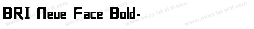 BRI Neue Face Bold字体转换